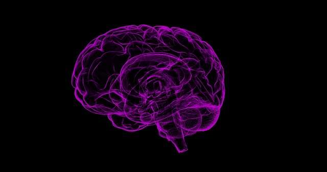 brain-1787622_640