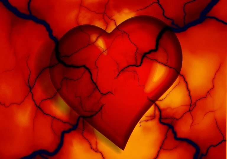 heart-2372134_1280