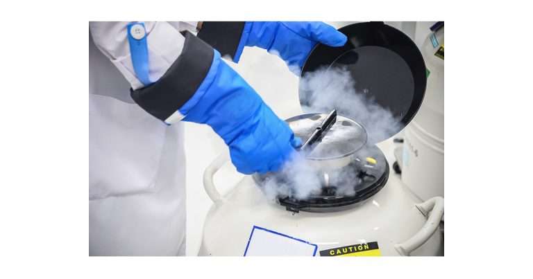 vitrificazione fecondazione vitro
