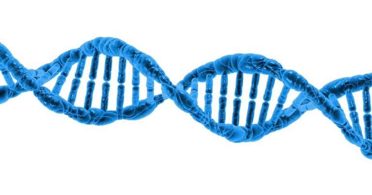 DNA
