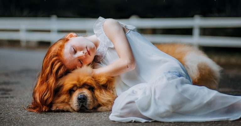 adorable-animal-beautiful-573258