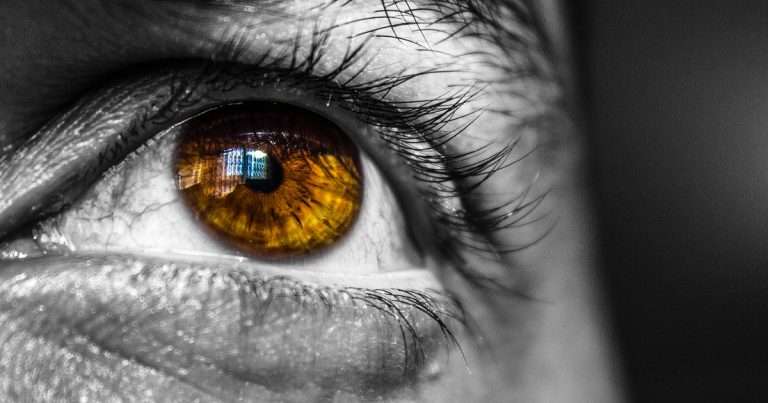 black-and-white-close-up-eye-18809