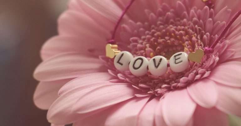 pink flower - radio wellness