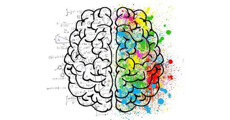Cervello - Fonte immagine Elisa Riva - Pixabay