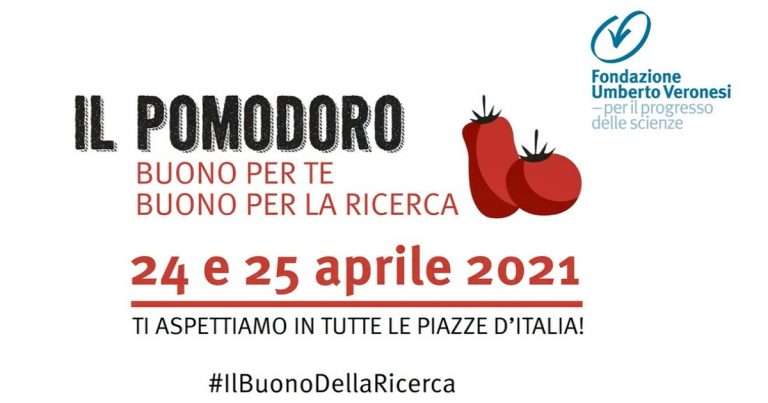 il pomodoro per la ricerca