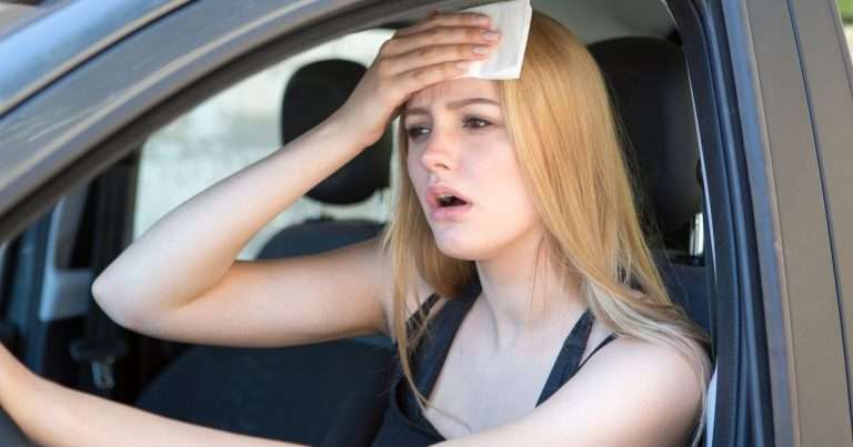 ondate di calore in auto