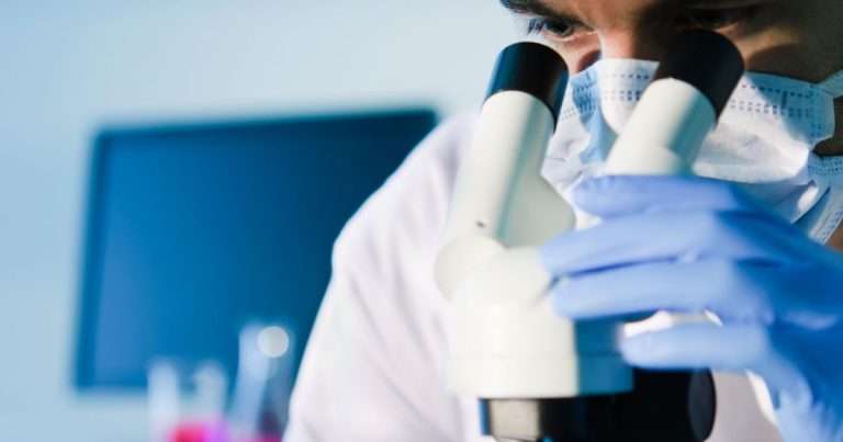 cancro al fegato ricerca