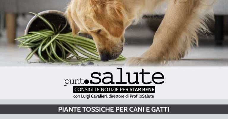 piante tossiche
