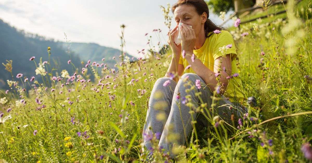allergie