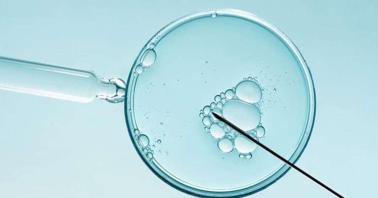 fecondazione in vitro per PMA, novità dall'ospedale di Padova
