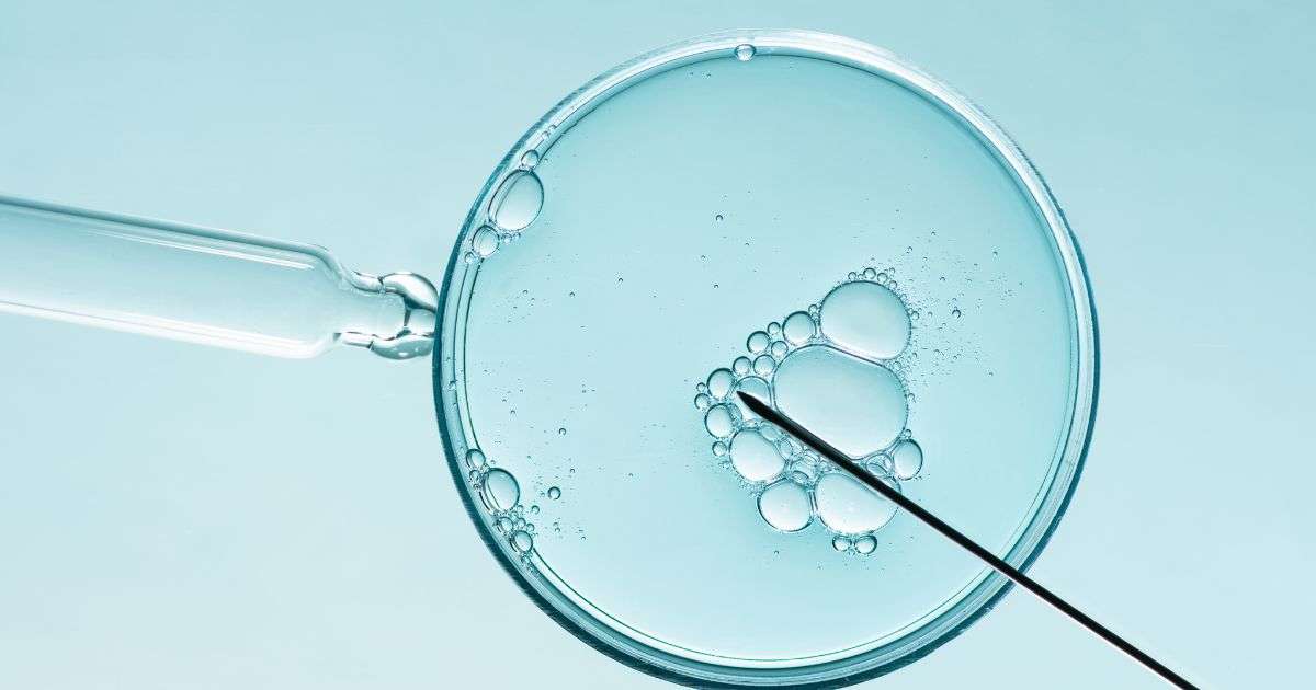 fecondazione in vitro per PMA, novità dall'ospedale di Padova