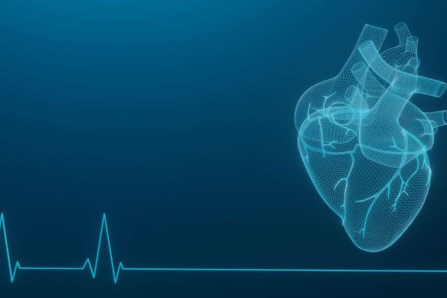 cuore monitorato