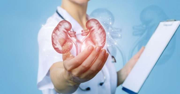 medico che regge l'immagine del rene