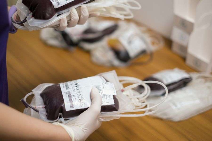 sacche di sangue