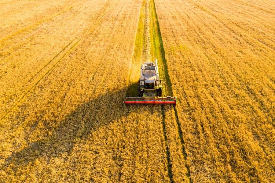 trattore che lavora nei campi, l'agricoltura è fondamentale per la sicurezza alimentare