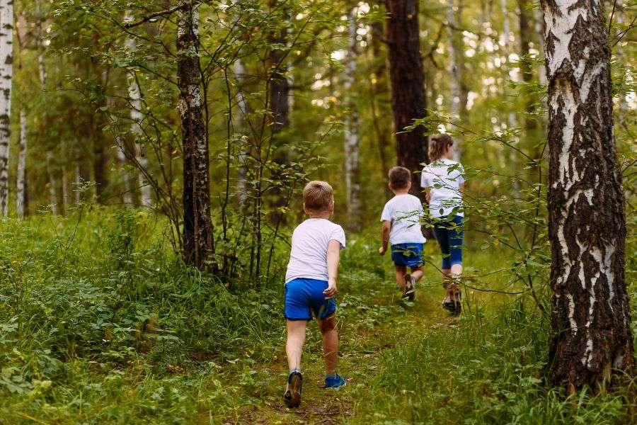 bambini che giocano a rincorrersi nel bosco in montagna