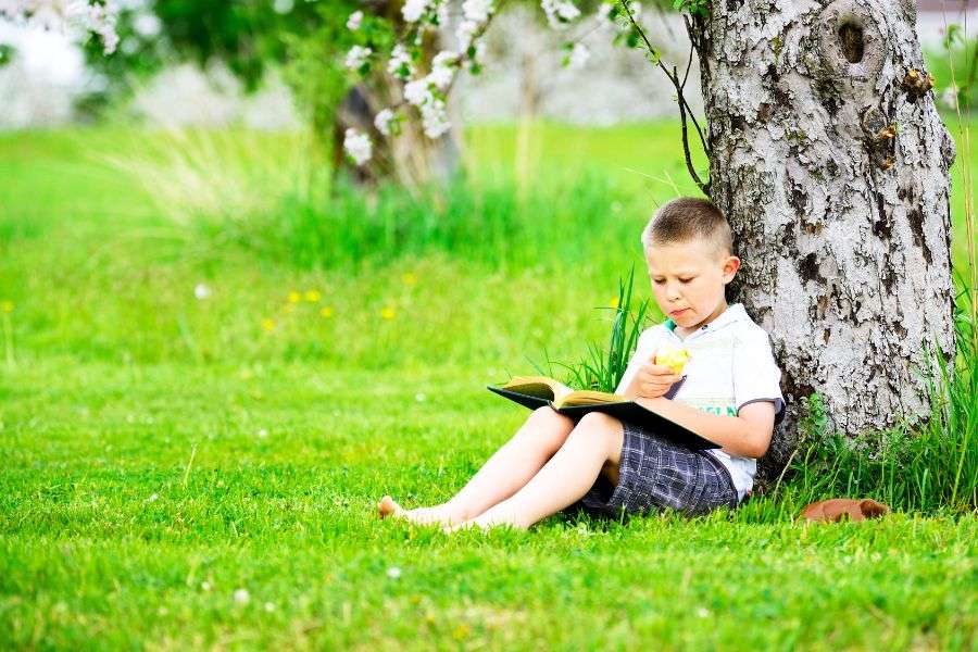 bambino che legge sotto all'albero, la lettura tiene allenato il cervello