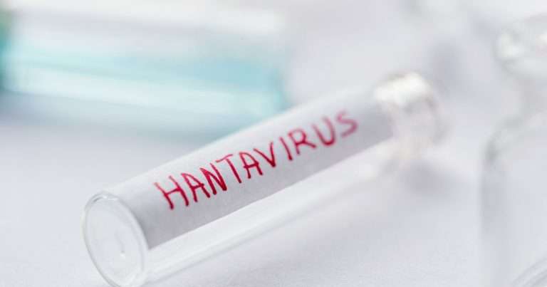 provetta con la scritta hantavirus